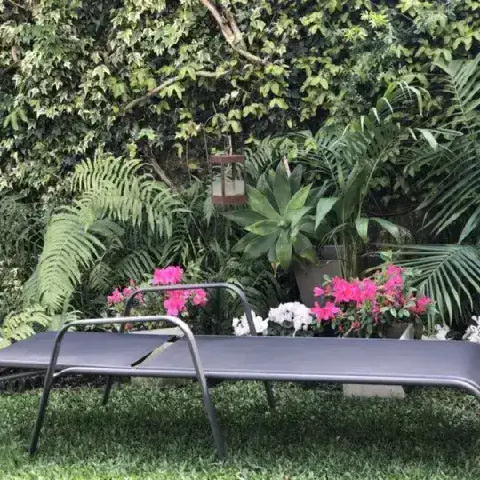 Reposera pileta 5 posiciones apoyabrazos Hierro Silver Hansel - SILVINA C 2 Reposera pileta 5 posiciones apoyabrazos Hierro Silver Hansel - SILVINA C 2