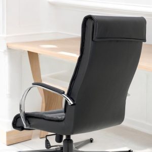 Silla oficina escritorio ergonómica PC baja Ram - SILVINA C 1